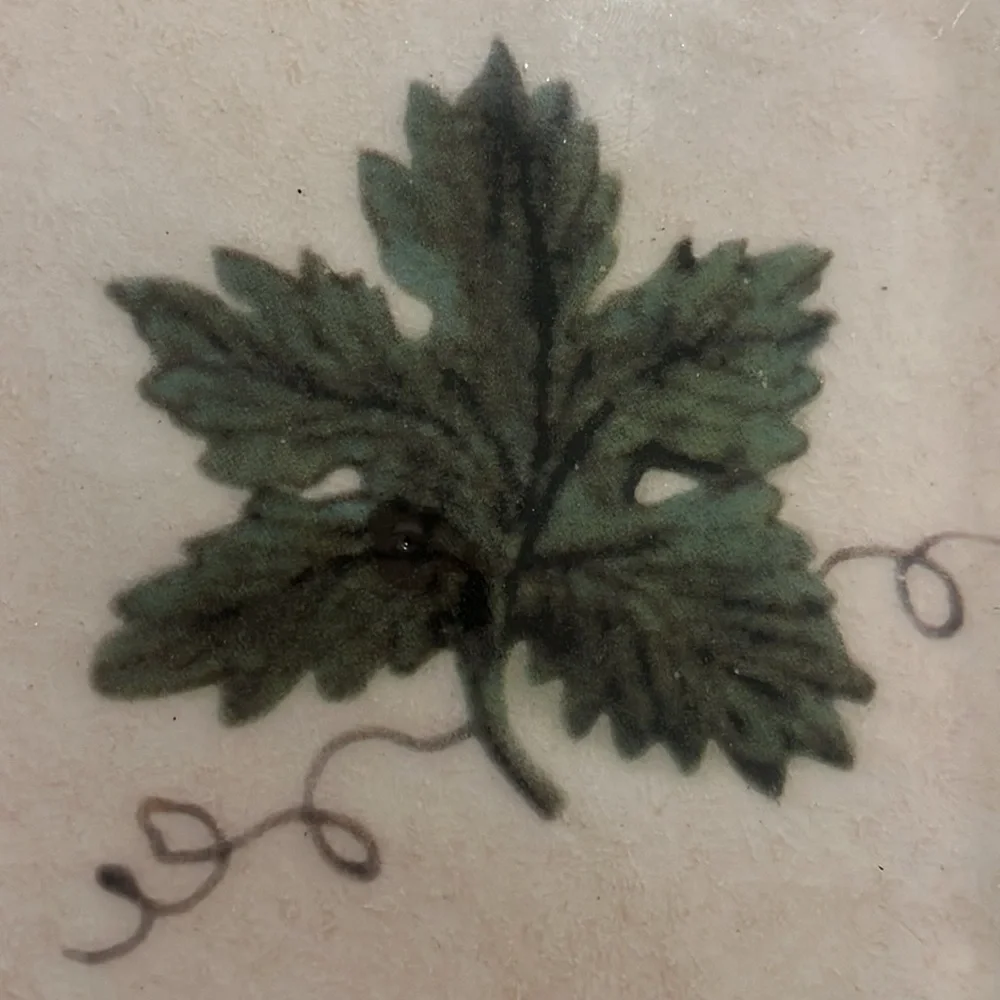 Williams Sonoma by Ceramiche Arianna Grape Leaf Square